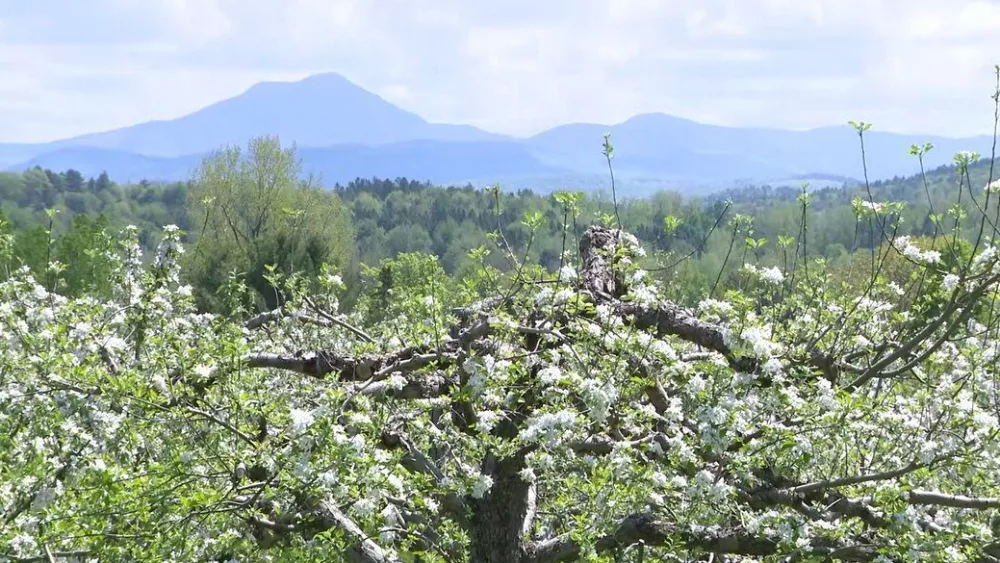 sqltgvksjbgx3jck3lcffy3k3i227612