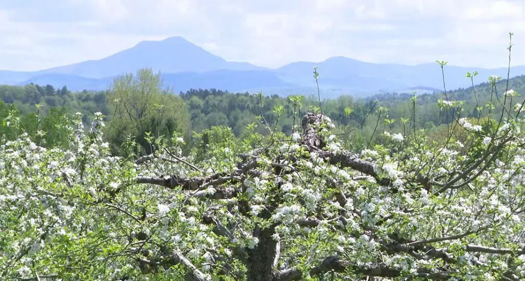 sqltgvksjbgx3jck3lcffy3k3i227612