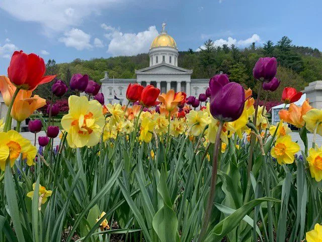 xwlj6jloyzei5knumujydg5kou102352