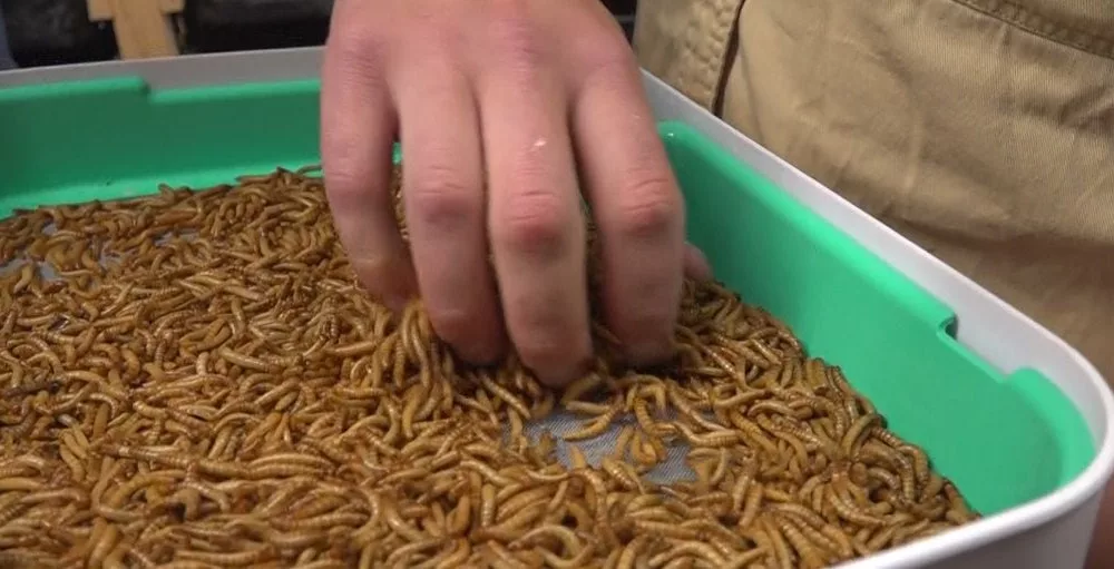 rkk5kgtqizhelpvlhyjdqvmslu580570