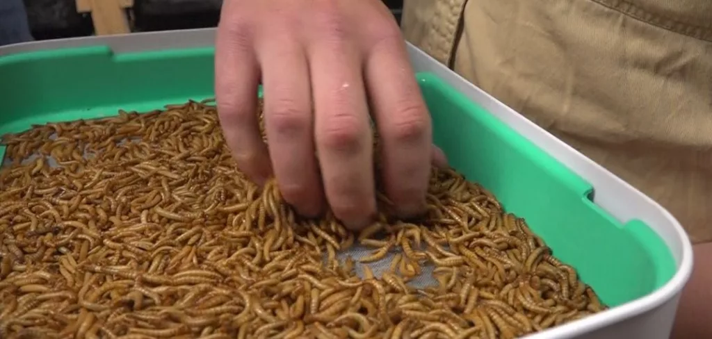 rkk5kgtqizhelpvlhyjdqvmslu580570