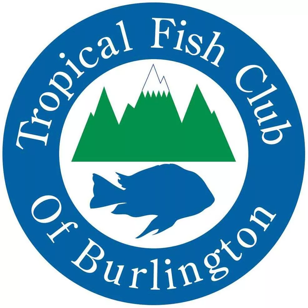 t-f-c-b-logo-jpg-3