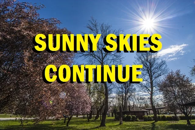 sunny-skies1-10