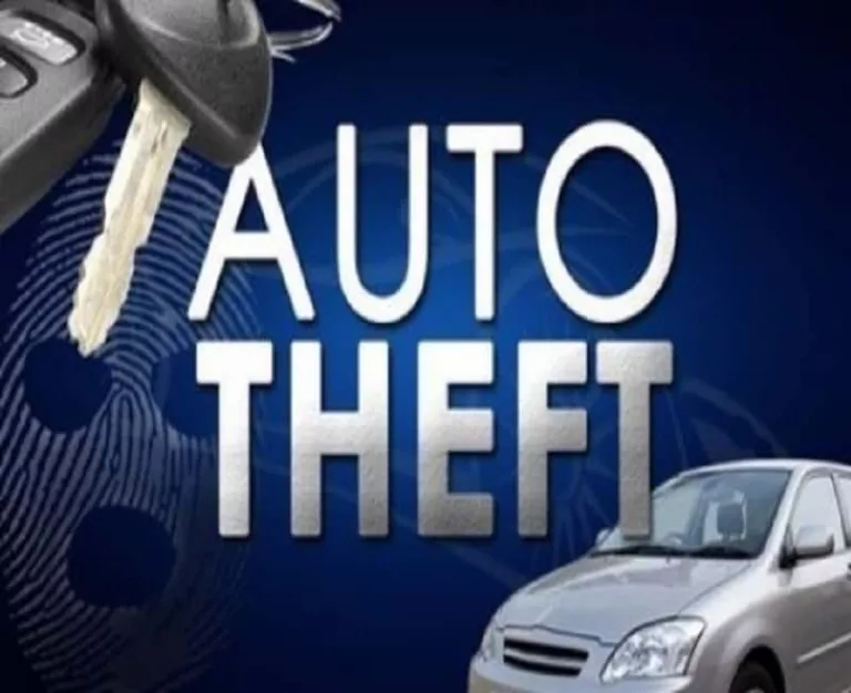 auto-theft-graphic
