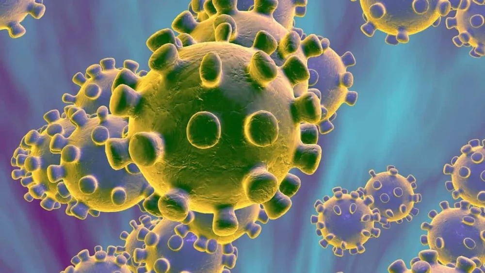 coronavirus-8