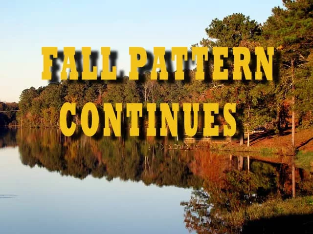 fall-pattern-continues-3