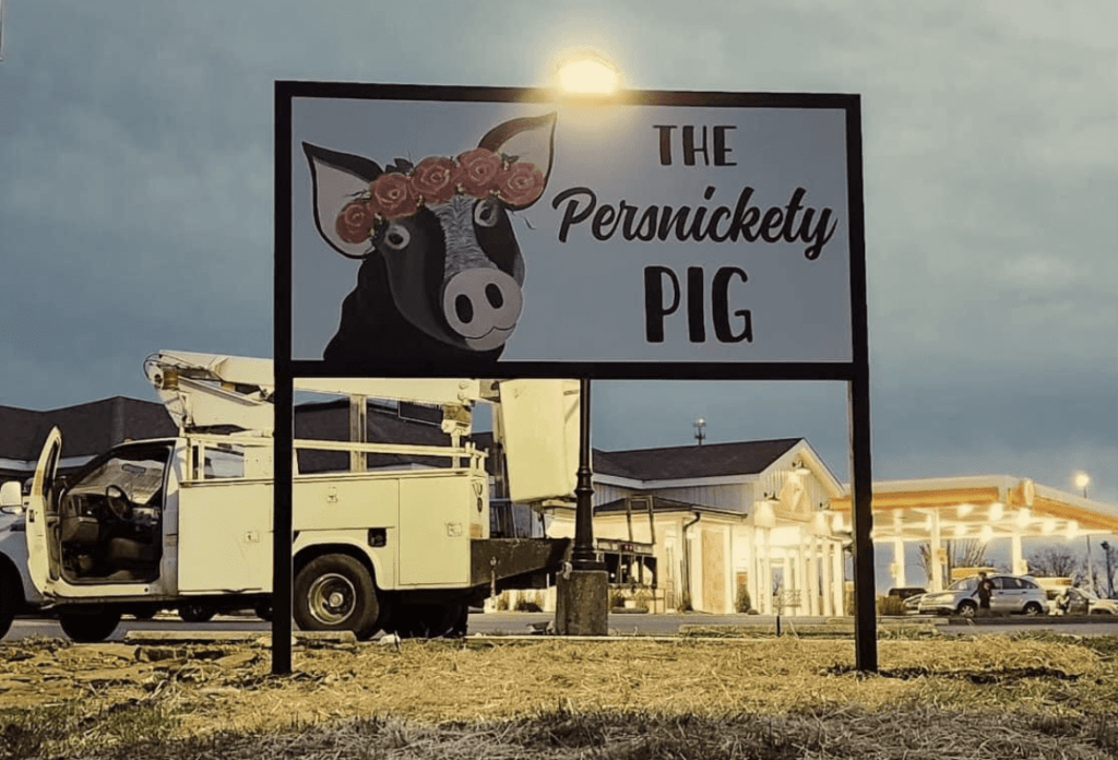 persnickety-pig