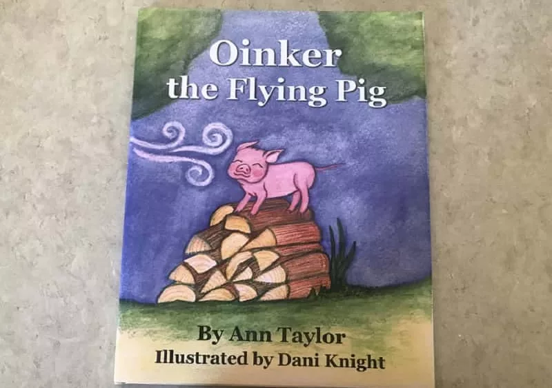 oinker-the-flying-pig