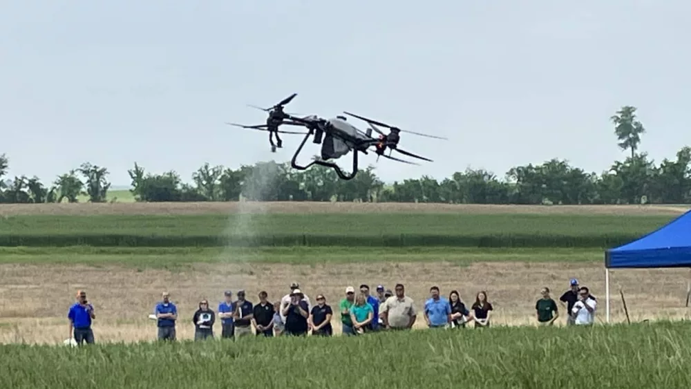 2023-uk-wheat-field-day-3-2