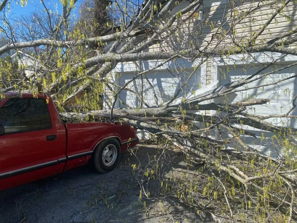 storm-debris