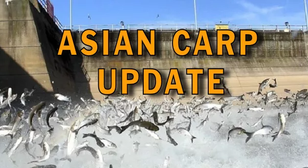 asian-carp-update