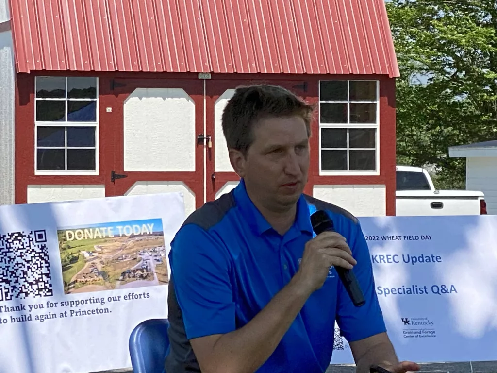 2022-uk-wheat-field-dsy-35