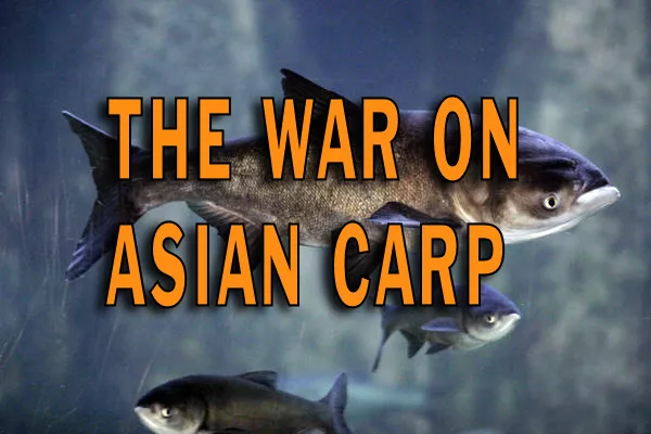 the-war-on-asian-carp