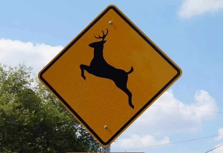 kytc-deer-crossing-sign