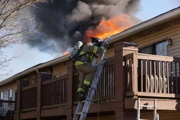 50813584_540377669778118_8855347984456482816_o