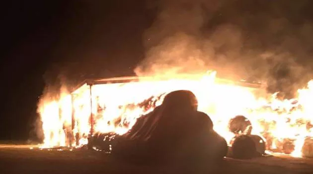 fb_img_1567264311765