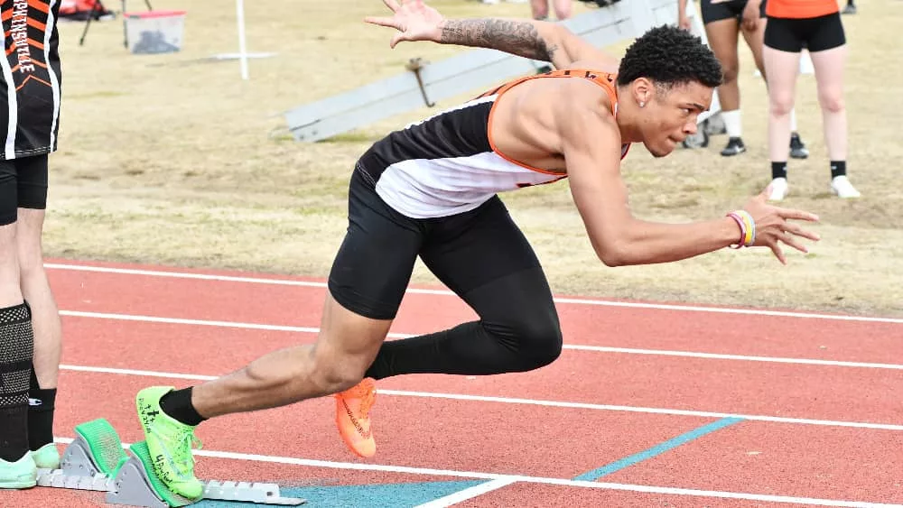 picture-2024-04-01t150106-567