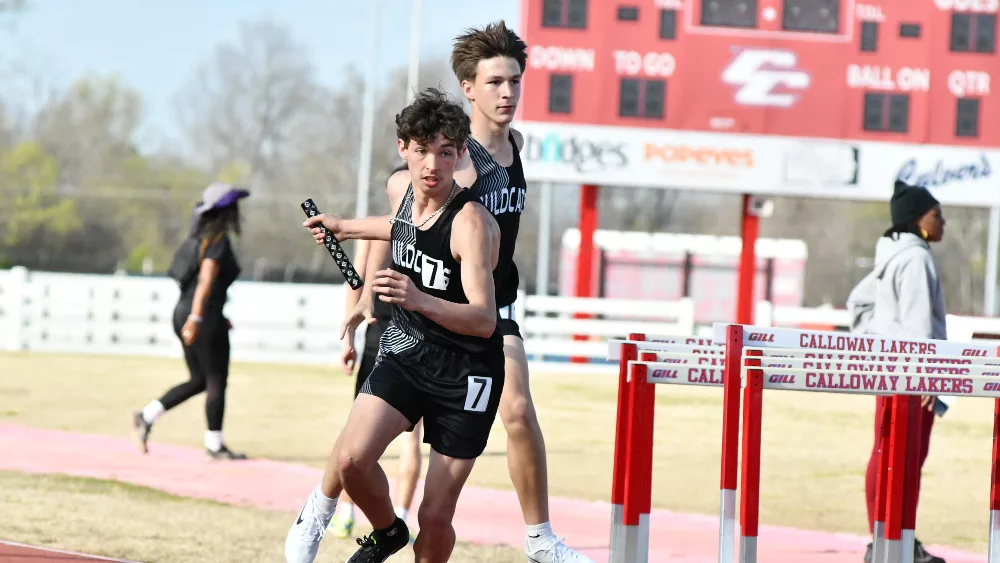 picture-2024-04-01t172912-250