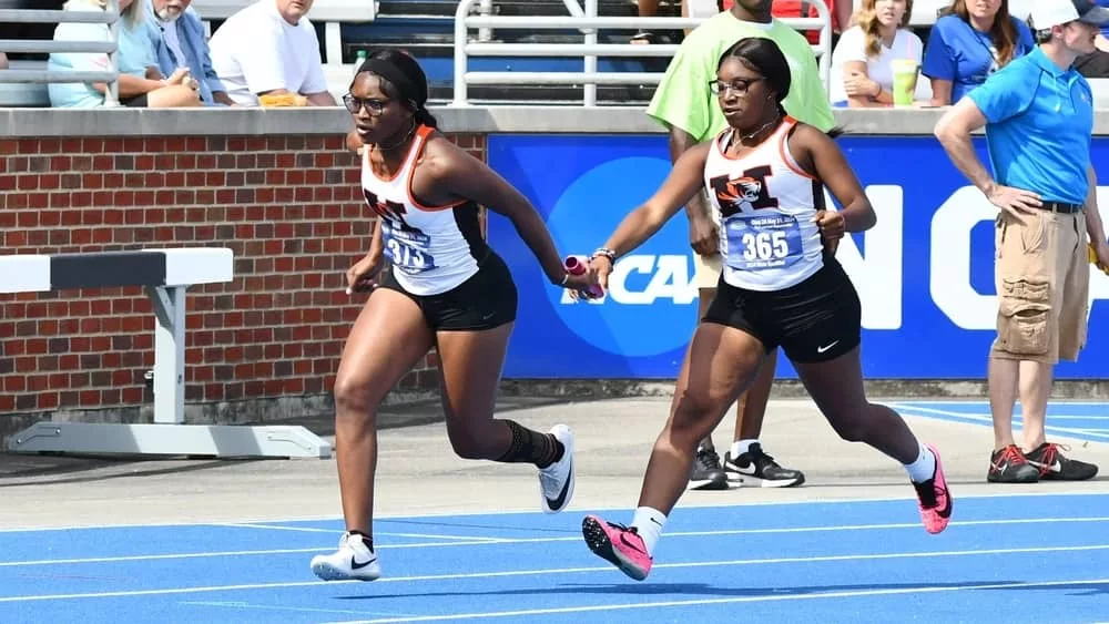 webp-net-resizeimage-54