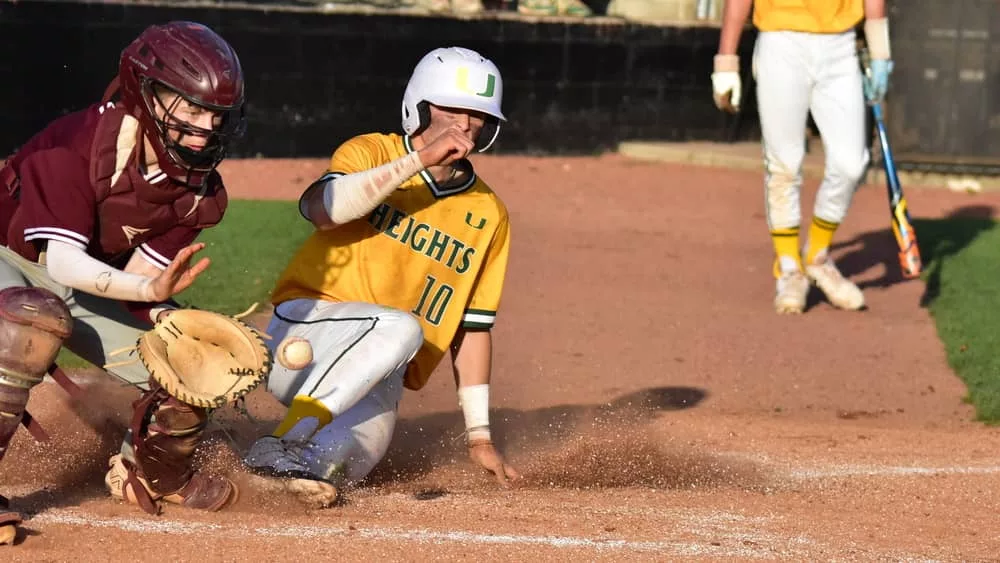 webp-net-resizeimage-25