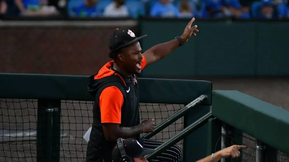 webp-net-resizeimage-89