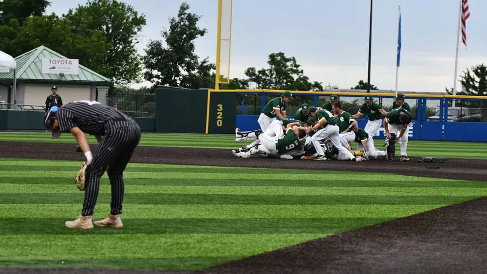 webp-net-resizeimage-91