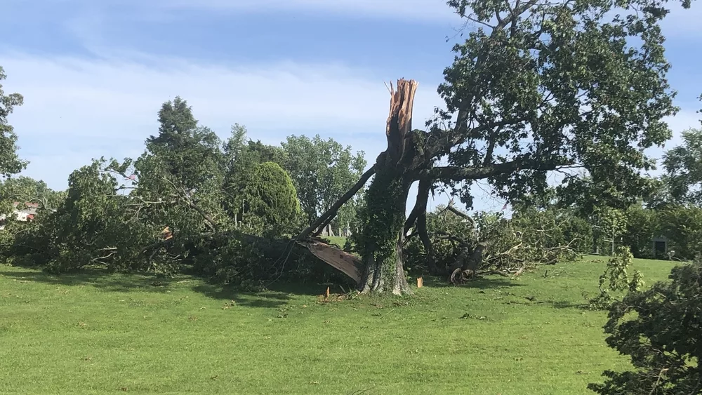 webp-net-resizeimage-20-jpg