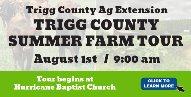 triggco-agext-summer-farm-tour_20240723_011005_0000-png-3