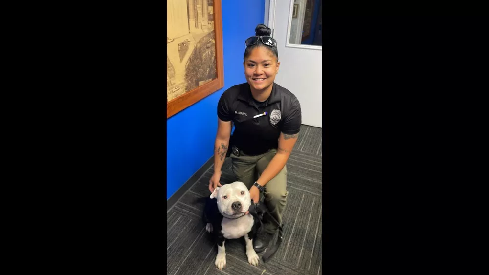 hopkinsville-police-department-jpg