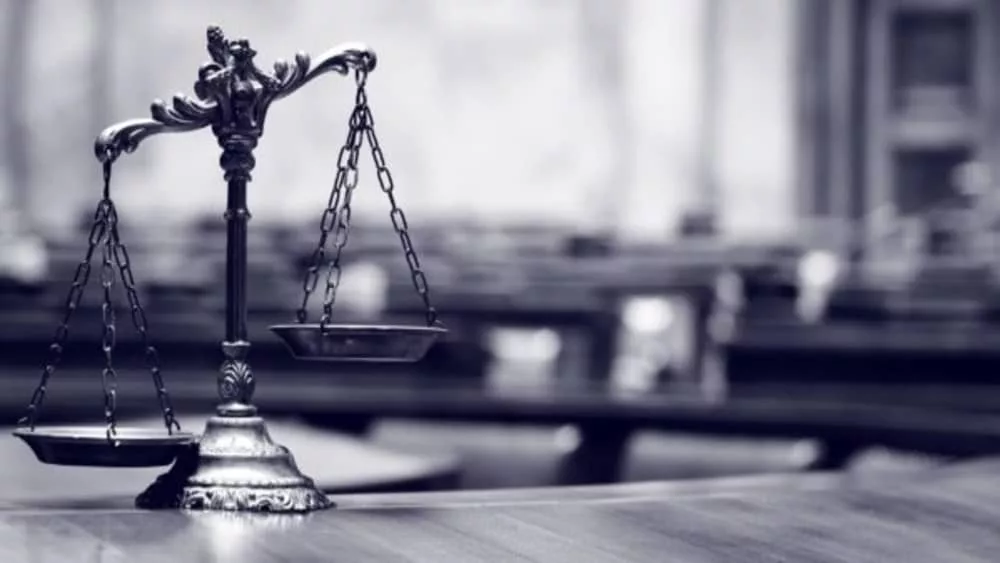 webp-net-resizeimage-3-jpg-6