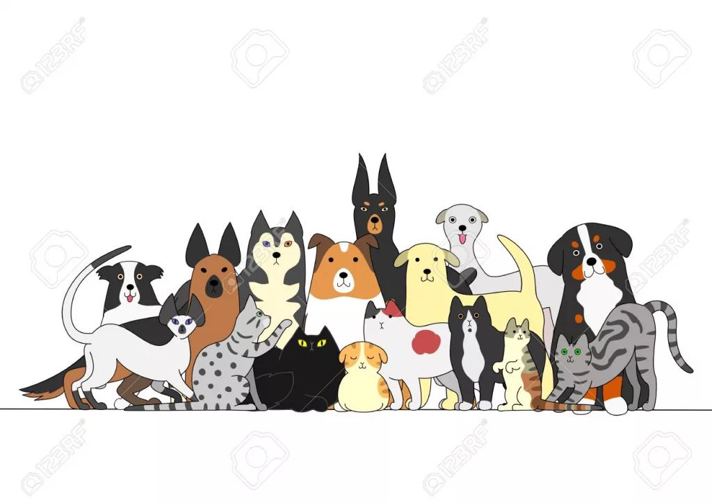 dogs-cats-1-png-6