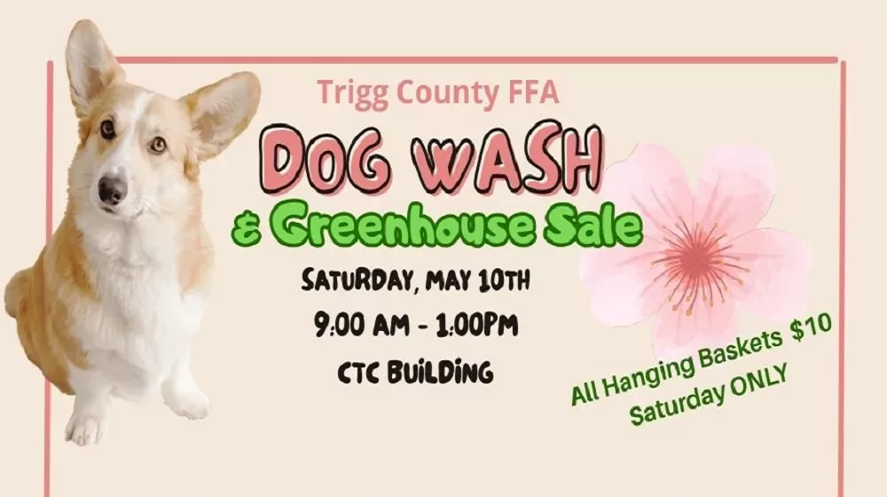 dog-wash-feature-png