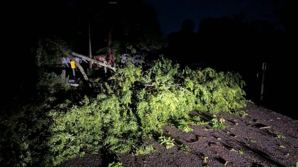 5-17-25-hopkinsville-storm-damage-5-jpg