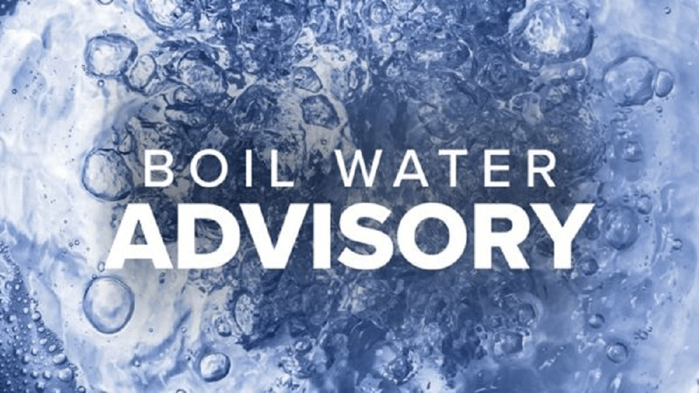 boil-1000x563-1-png-7