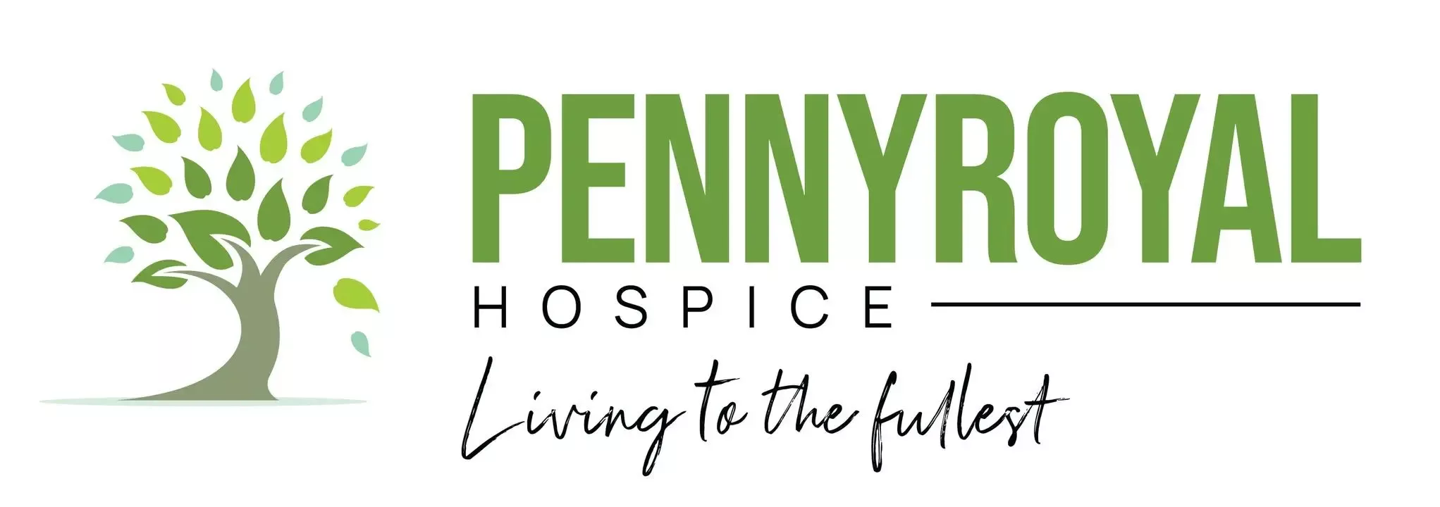 487934401_638553915469635_2668487306097531283_n-jpg