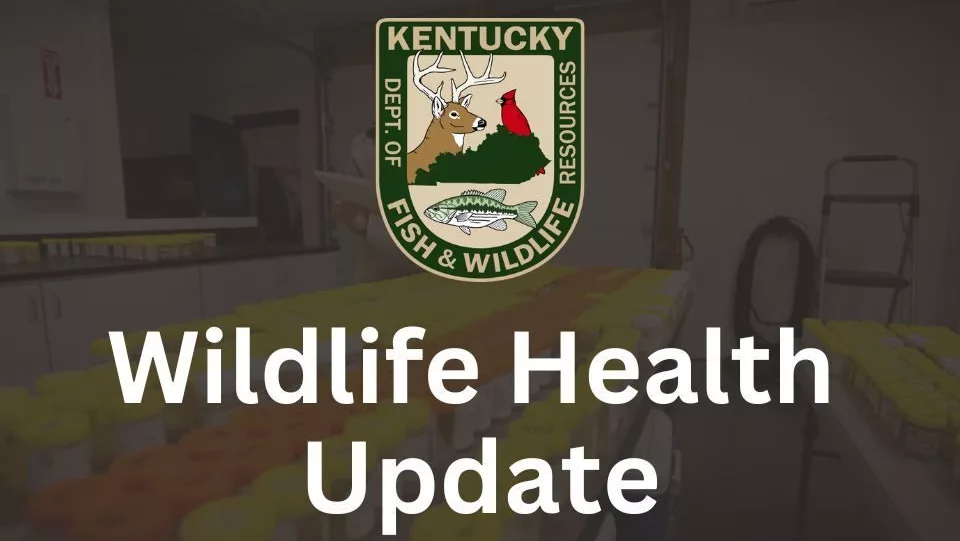 wildlife-health-update-960x720_original-jpg