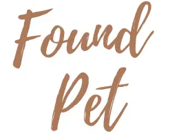 found-pet-png-11