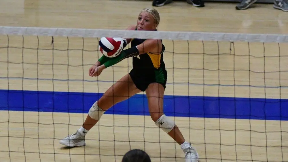 dsc_3560_cropped275084
