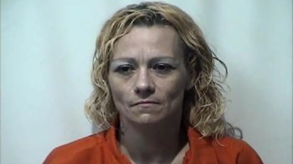Woman Charged With Drug Possession During Traffic Stop | WHVO