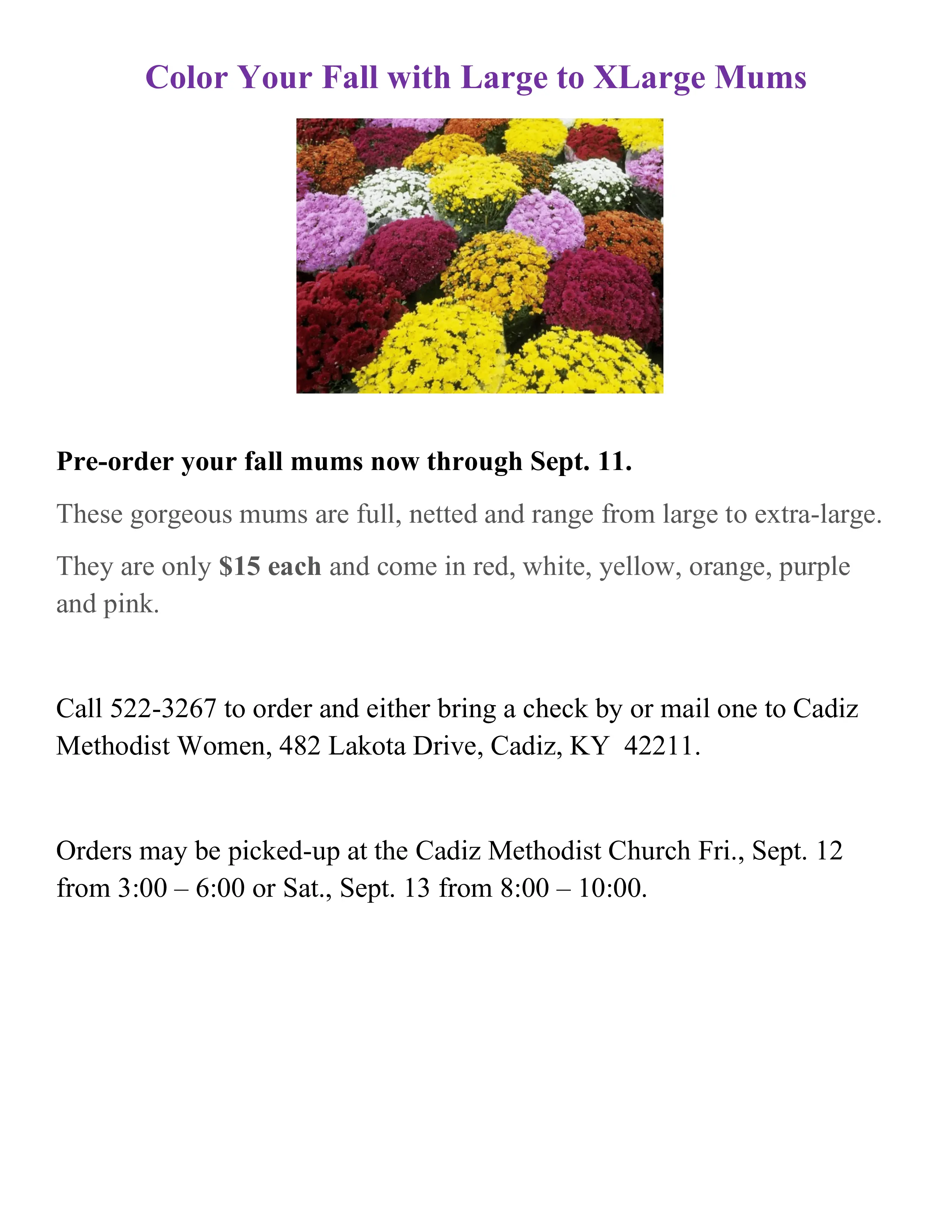 cadiz-methodist-church-mum-sale-1