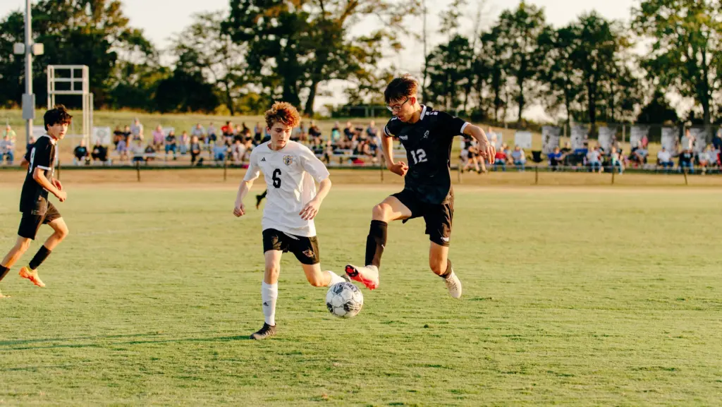 20250915-img_1039-e175802394428980127