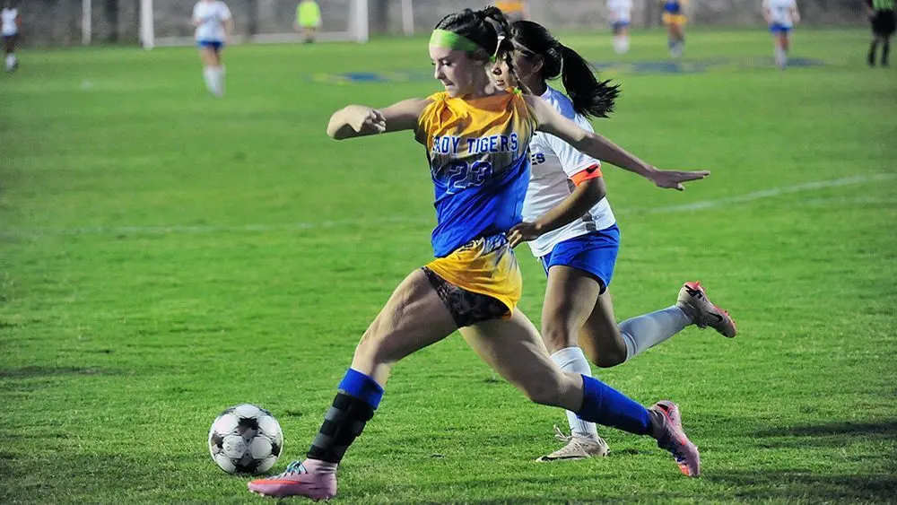 addie-middleton987623