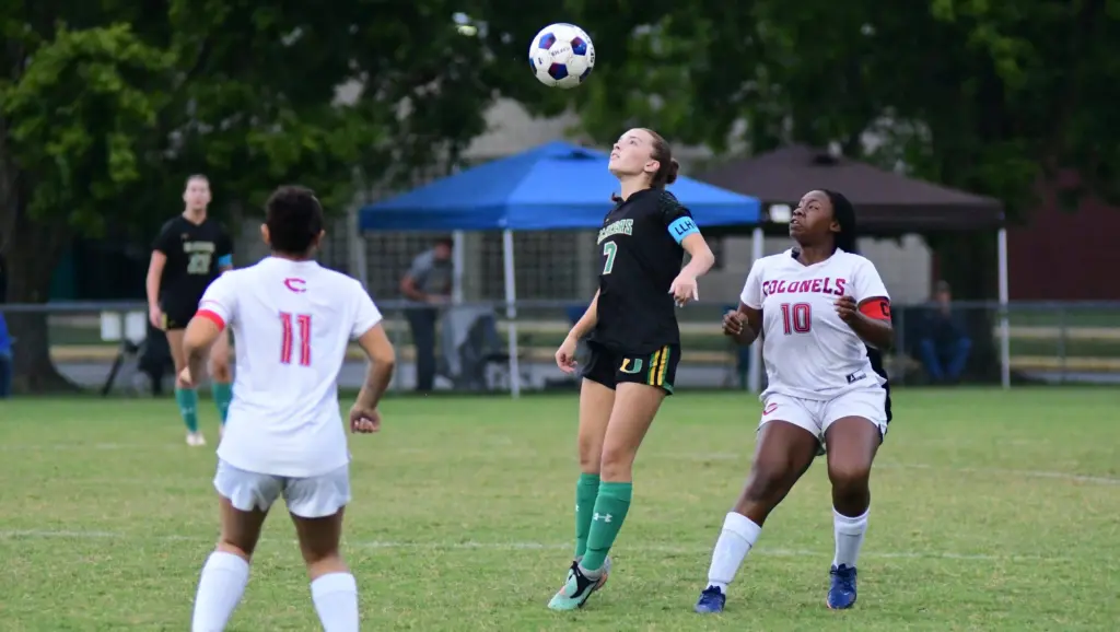 dsc_0679-e1759836682925992808