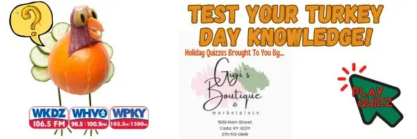 holiday-quizzes-persnickety-pig-600-x-200-px-3-png-2