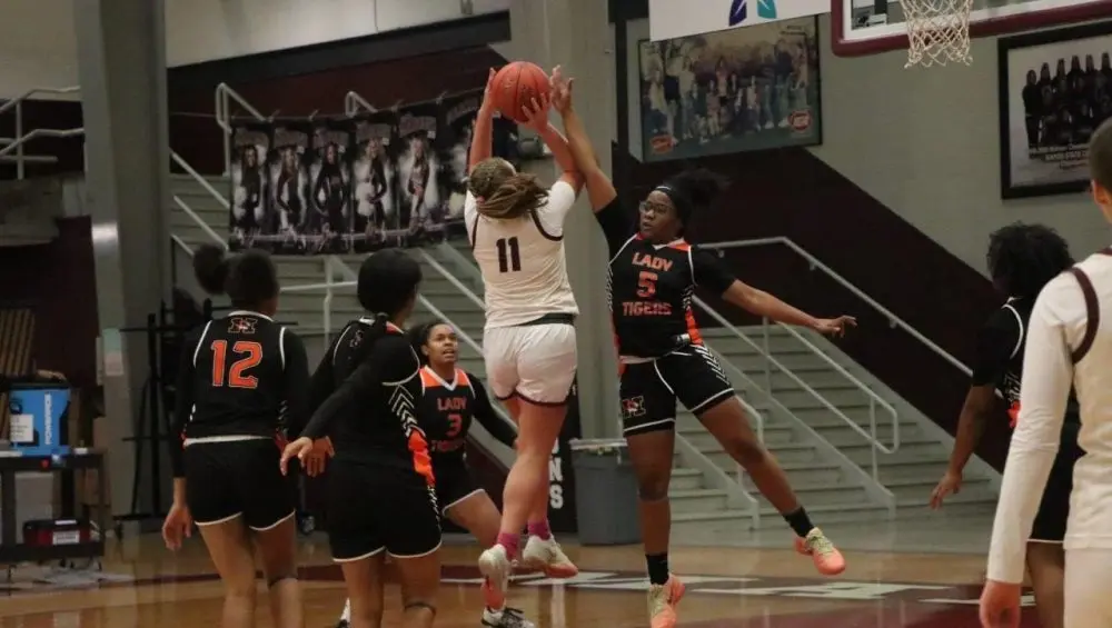 madville-hoptown-33-e1764995133149391385