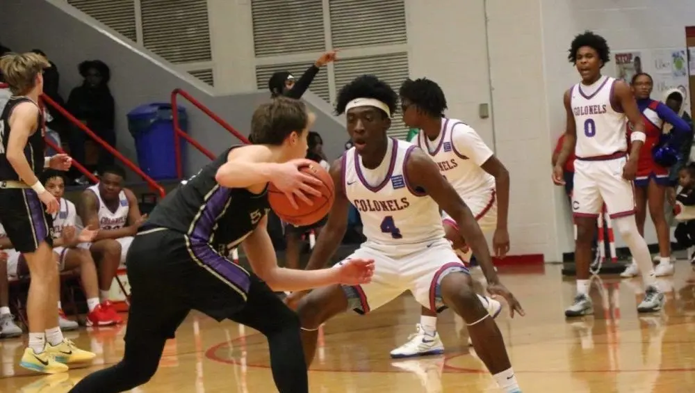 cols-purples-13-e1765938154888653080