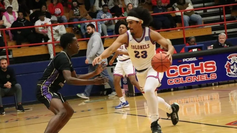 cols-purples-47-e1765945230693752951