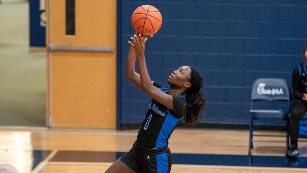 dsc00761-e1768628678915493754