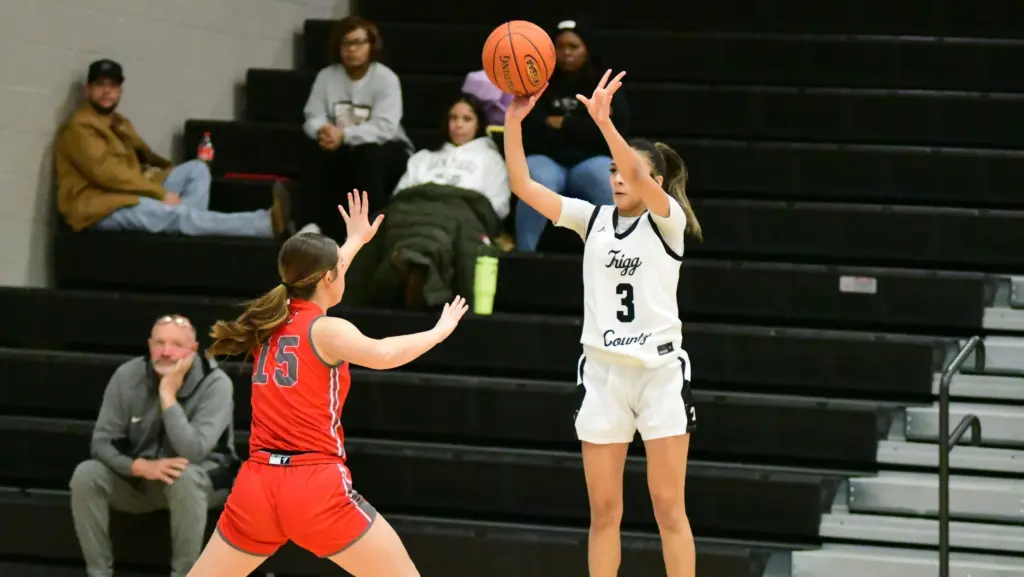 dsc_2421-e1768890663756403615