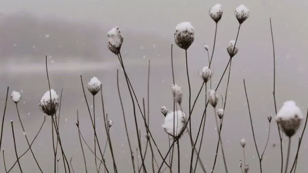 011025-snow-day-10-jpg